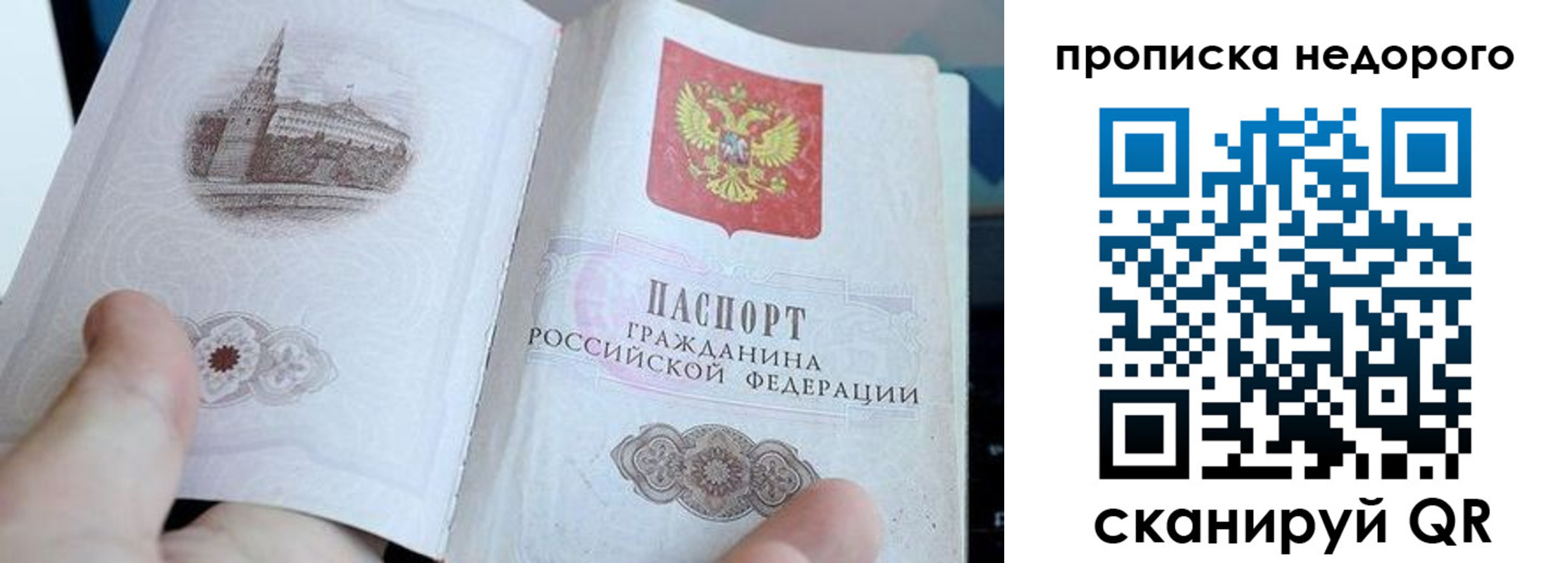 пропишу в квартире в Кудрово
